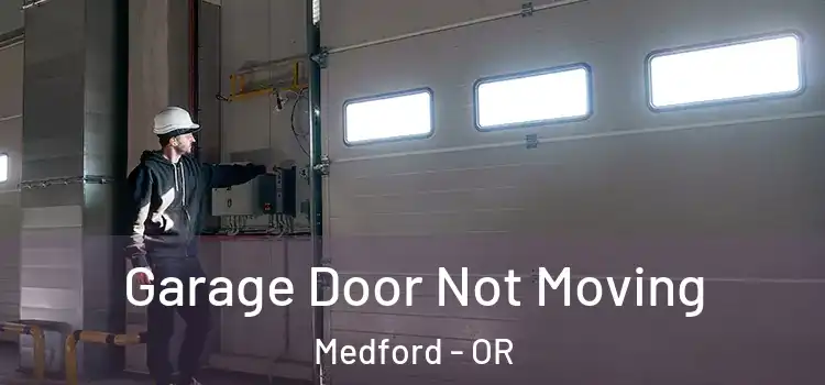  Garage Door Not Moving Medford - OR